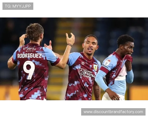 西布朗蓝白条纹球衣本赛季主场表现稳健