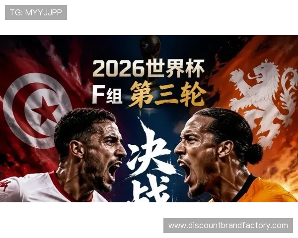 突尼斯世界杯F组出局:三场比赛全部失利